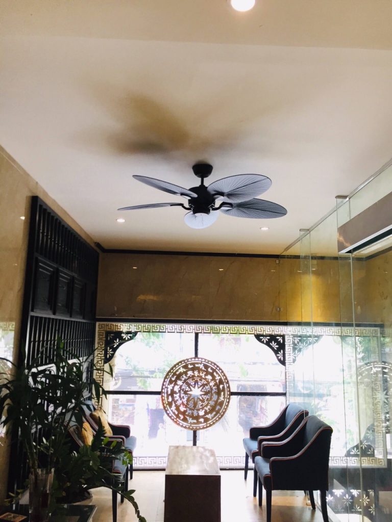 quat tran mauden quat tran mauden