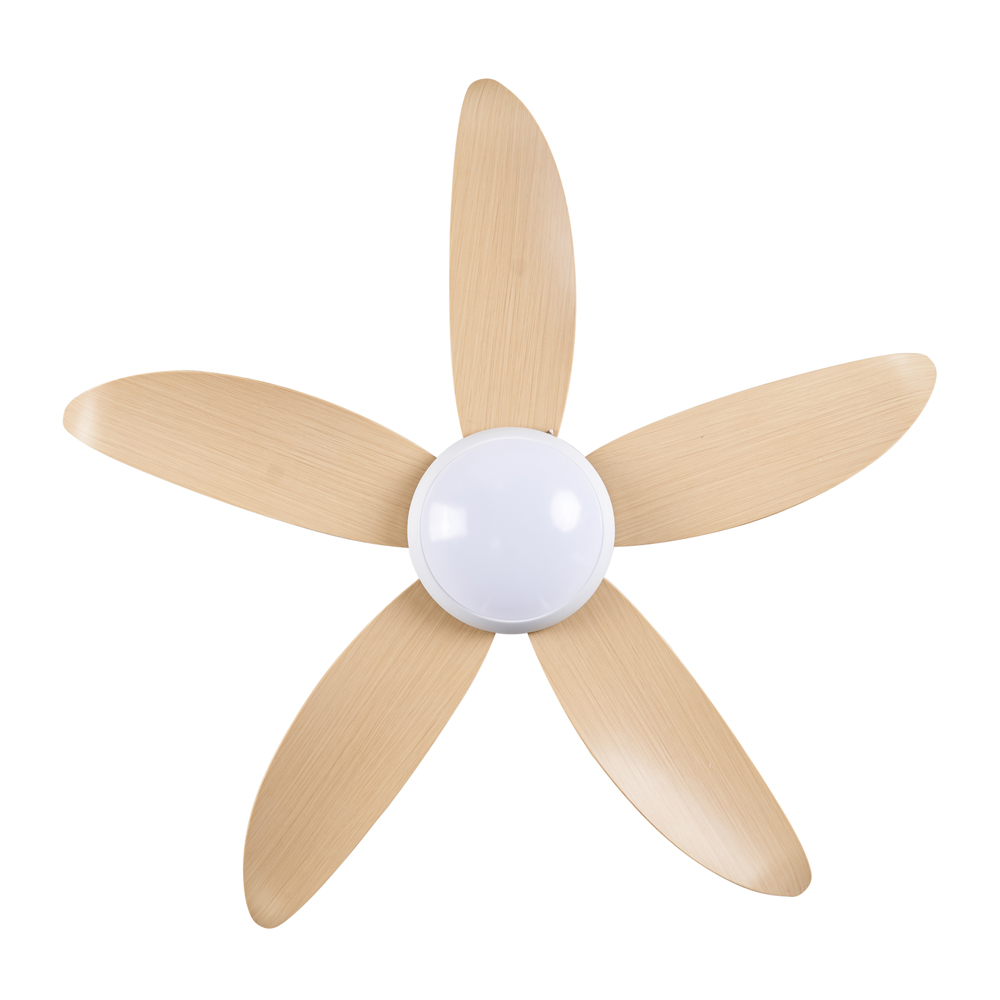 quat tran 1m cora nau go sang quat tran 1m cora nau go sang