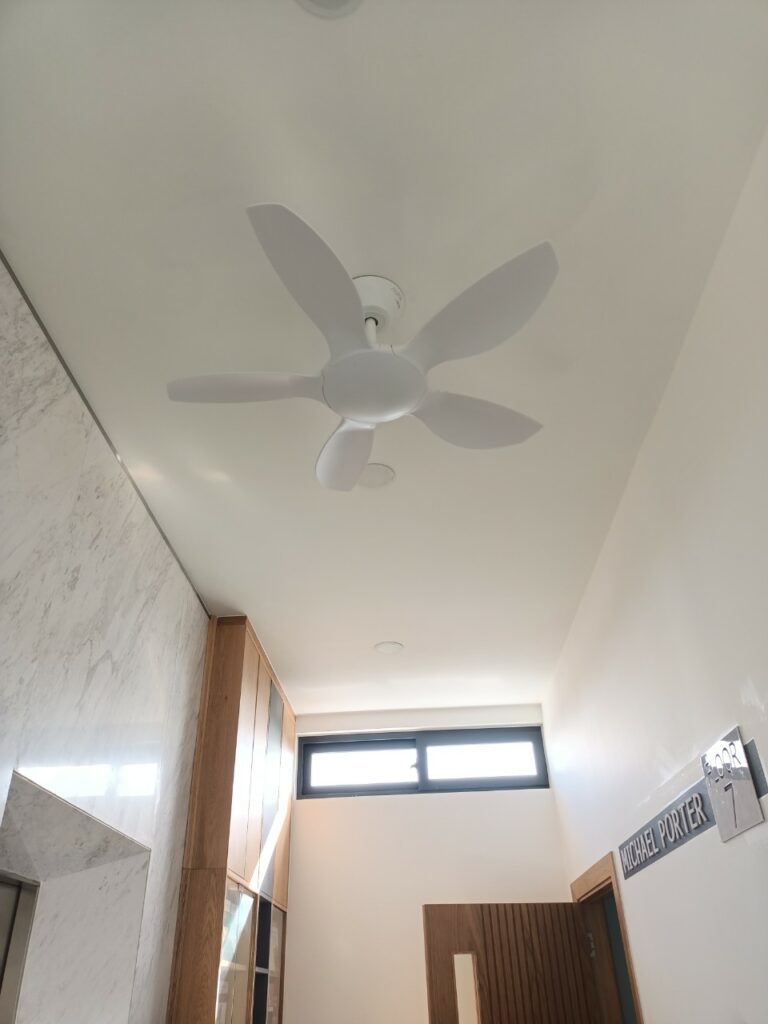 quat tran 5 canh mau trang thin quat tran 5 canh mau trang thin