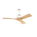 quat tran canh go solid42