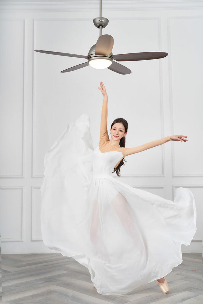 mau quat tran den daisy1 mau quat tran den daisy1