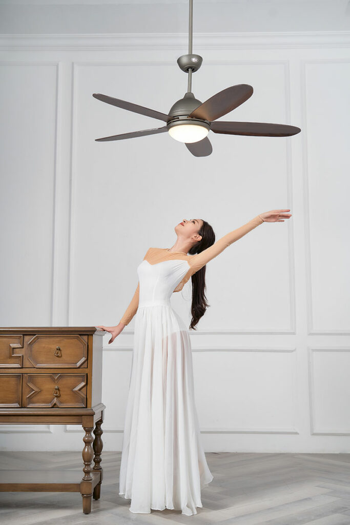 mau quat tran den daisy2 mau quat tran den daisy2