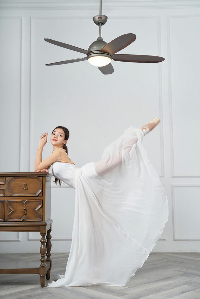 mau quat tran den daisy3 mau quat tran den daisy3