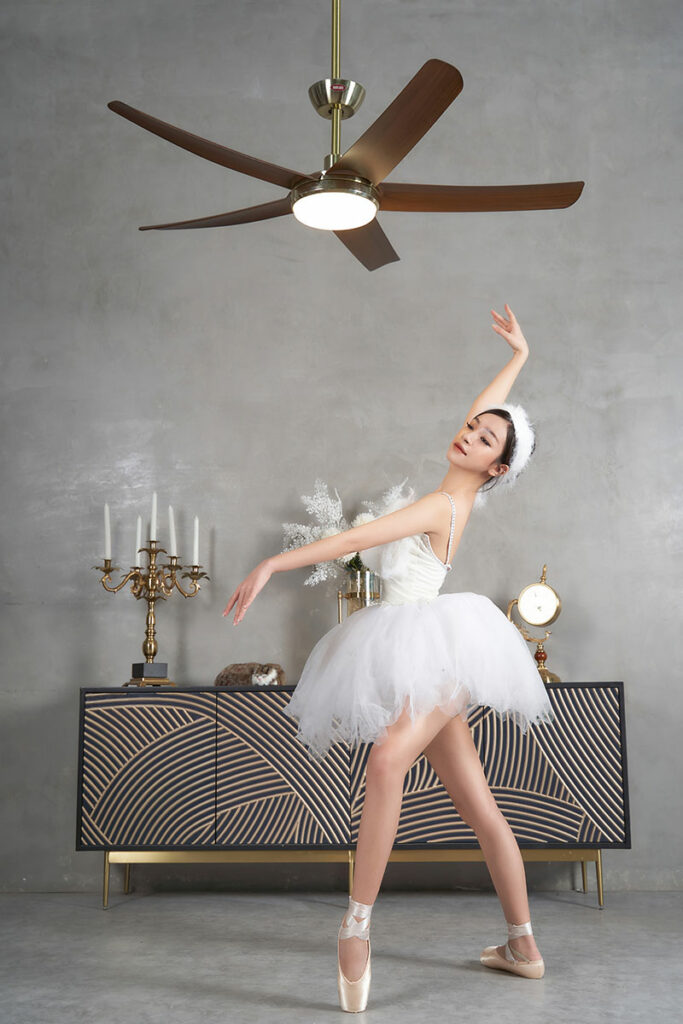 mau quat tran herođẹp