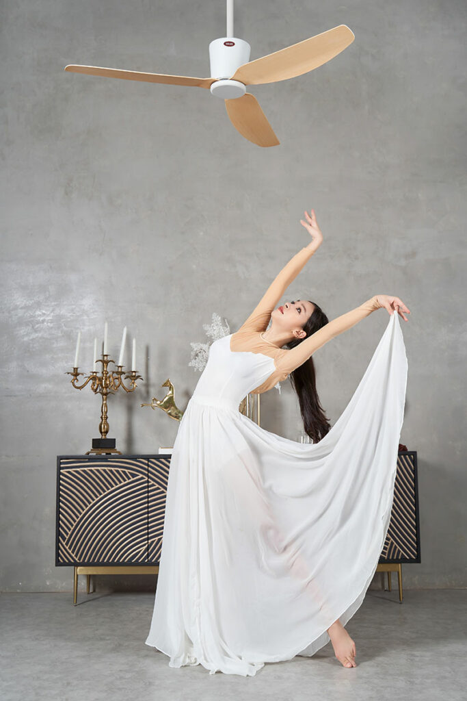 quat op tran sky mau1 quat op tran sky mau1