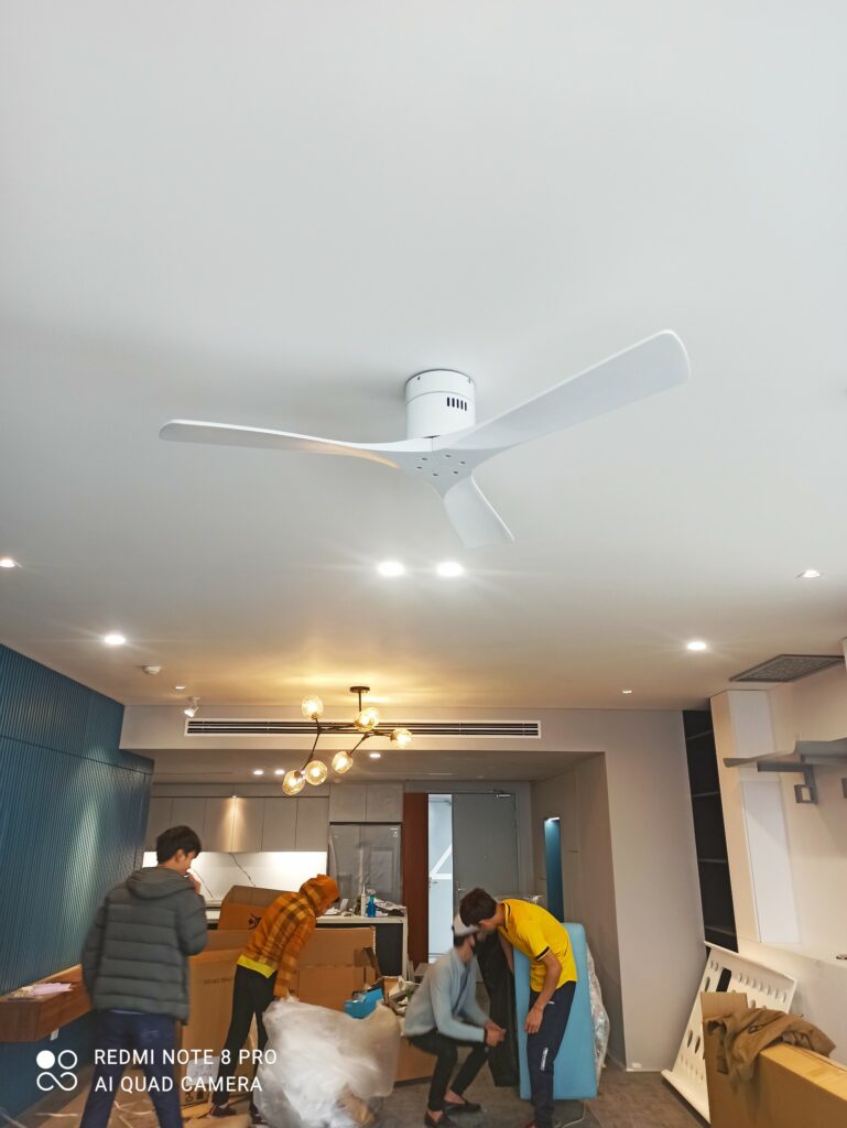 quat tran 3canh mautrang quat tran 3canh mautrang