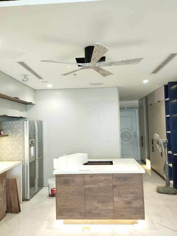 Candy-GWO-241022-2 Candy-GWO-241022-2