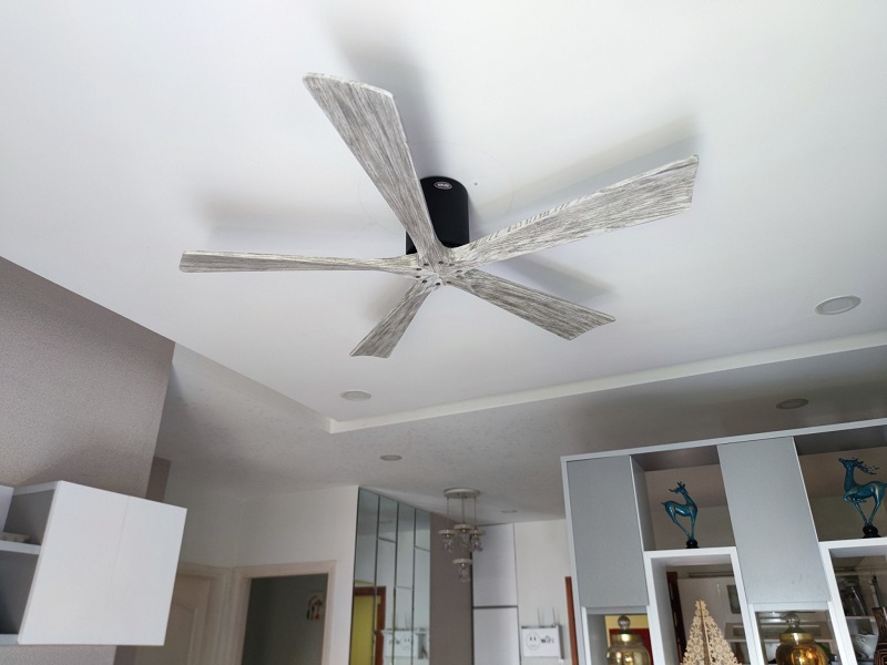 Candy-GWO-241022-3 Candy-GWO-241022-3