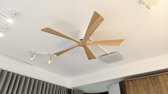 candy mp 1 candy mp 1