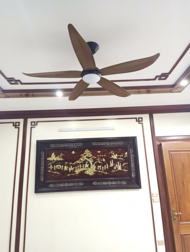 quat tran 5 canh aura cora quat tran 5 canh aura cora