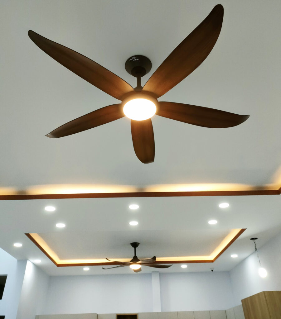 quat tran 5 canh co den cora2 quat tran 5 canh co den cora2