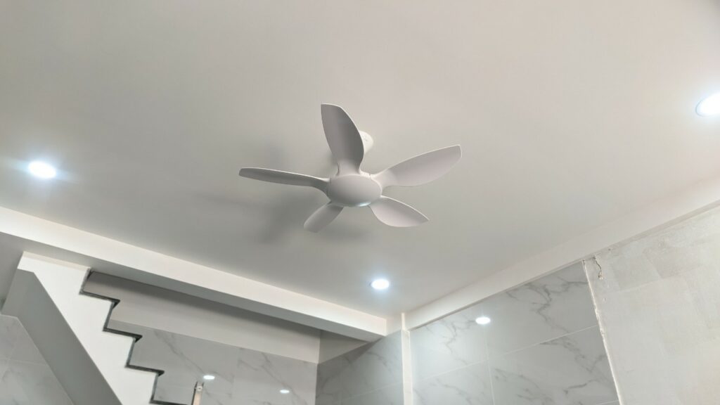 quat tran mau trang thin1m1 quat tran mau trang thin1m1