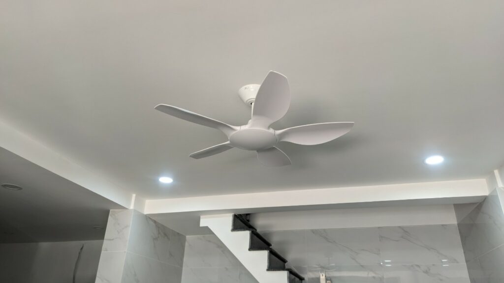 quat tran mau trang thin1m2 quat tran mau trang thin1m2