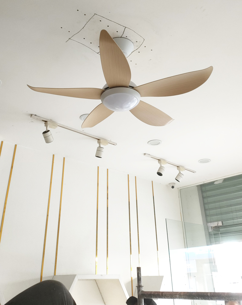 quat tran mau trang 5 canh 1m cora quat tran mau trang 5 canh 1m cora