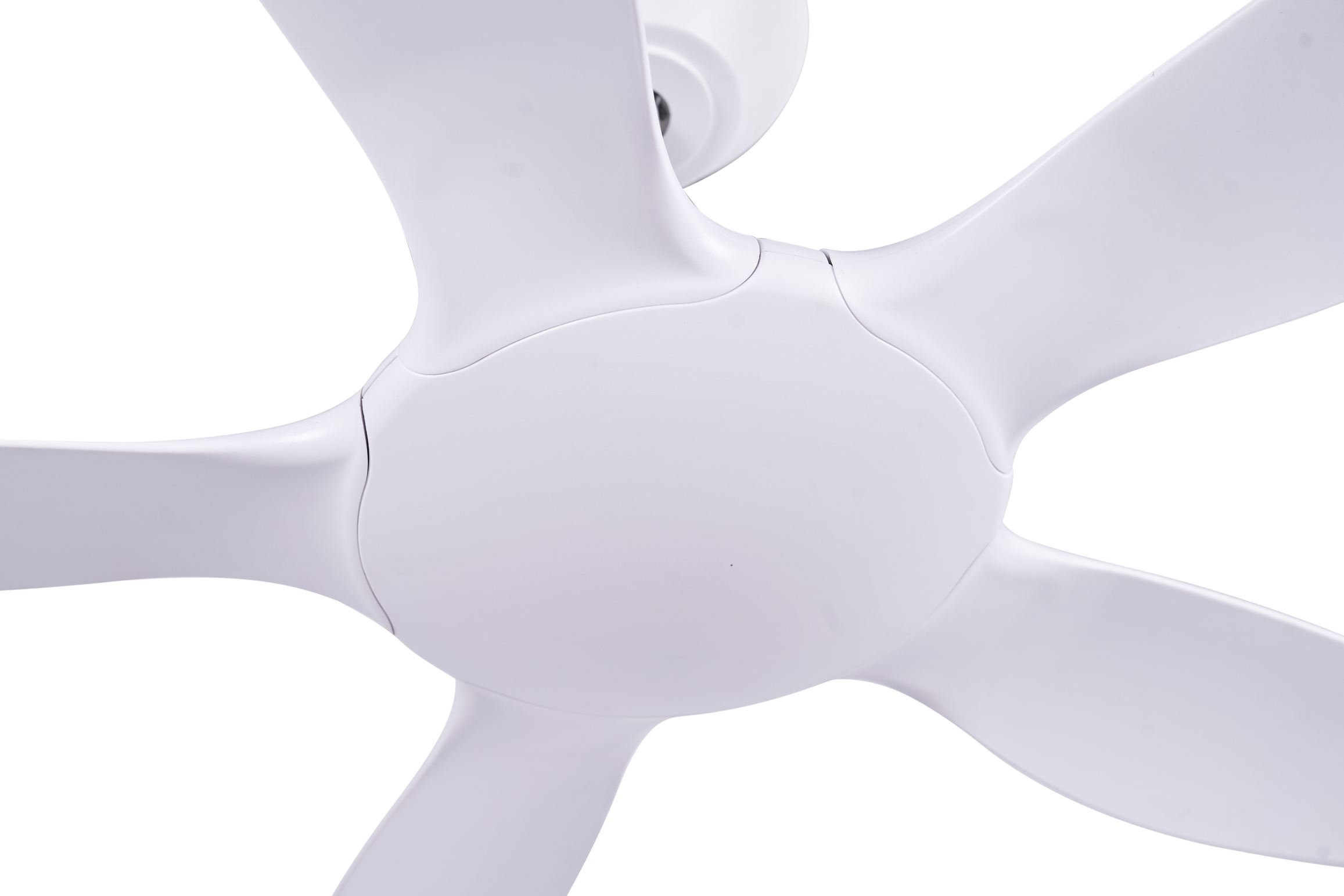 quat tran 5 canh thin trang1 quat tran 5 canh thin trang1