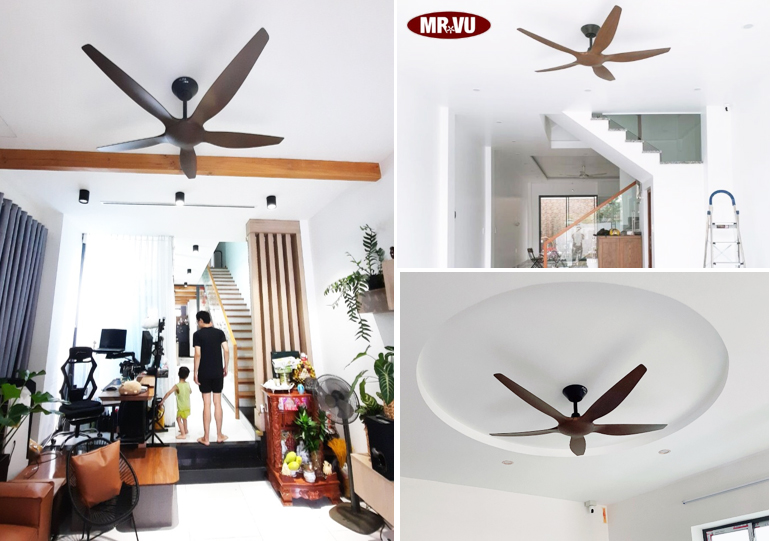 quat-tran-5canh-thin-koa quat-tran-5canh-thin-koa