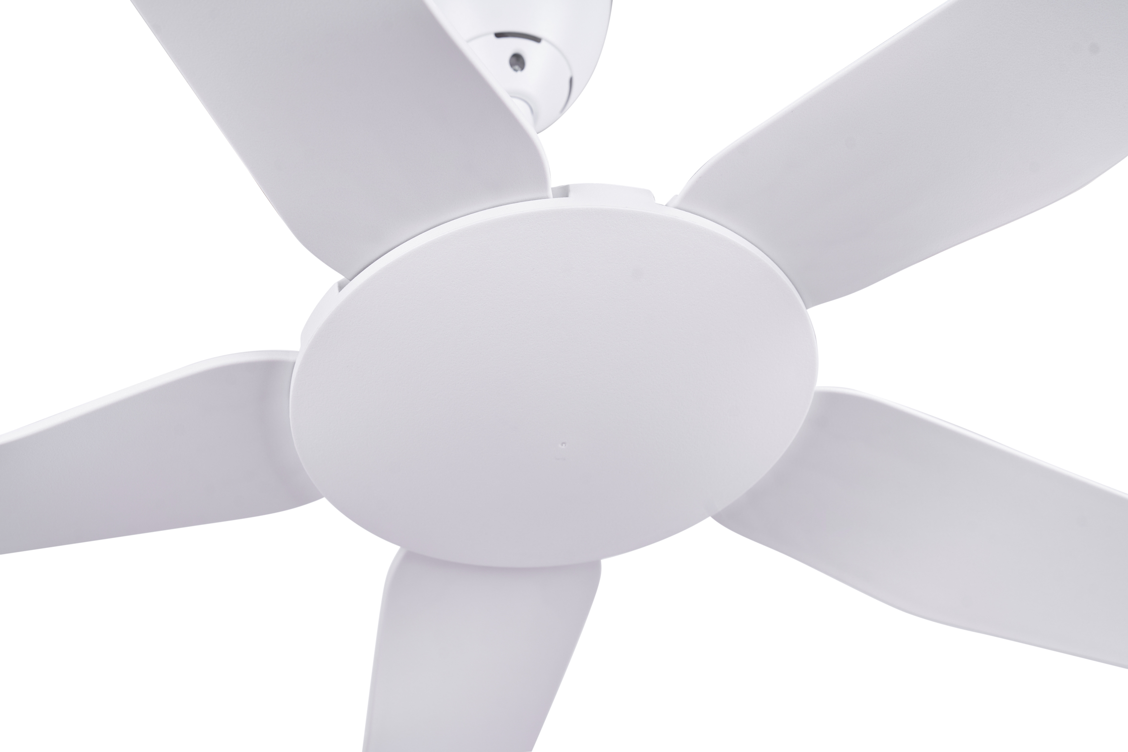 quat tran mau trang 5canh halo1 quat tran mau trang 5canh halo1