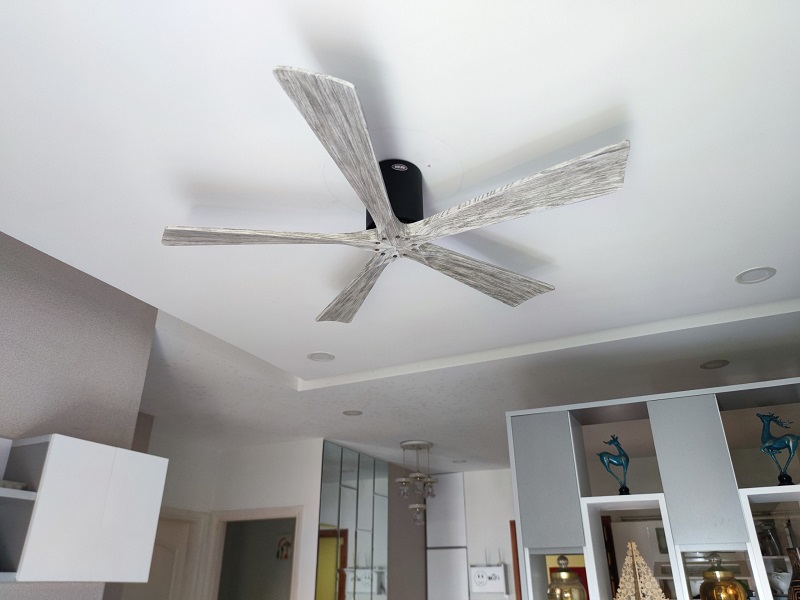 Candy GWO 141022 1 Candy GWO 141022 1