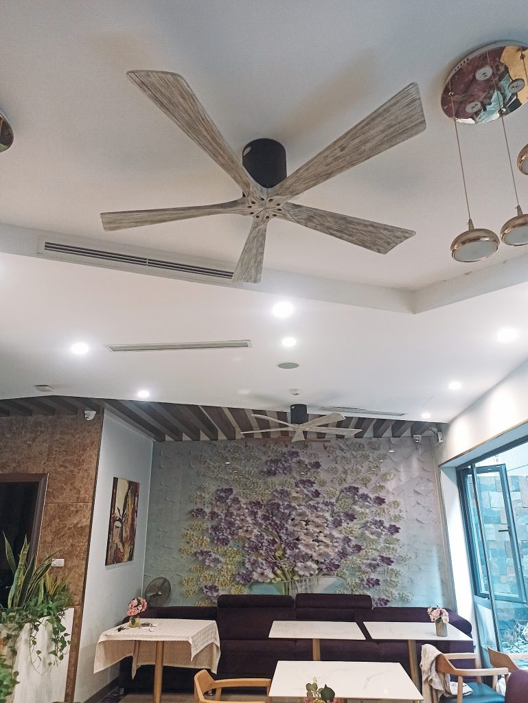 quat op sat tran 5canh quat op sat tran 5canh