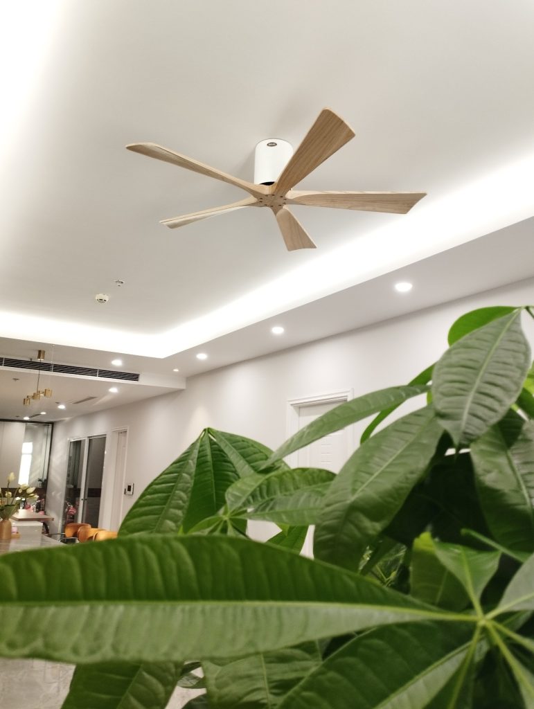 quat tran op sat candy mp quat tran op sat candy mp