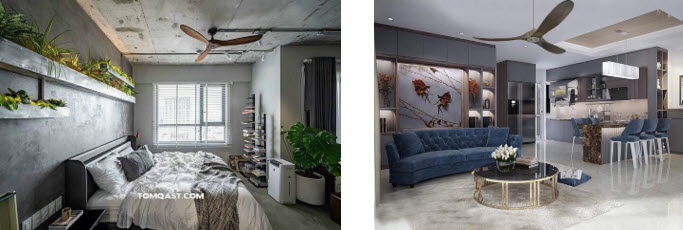 Top10-eagle Top10-eagle