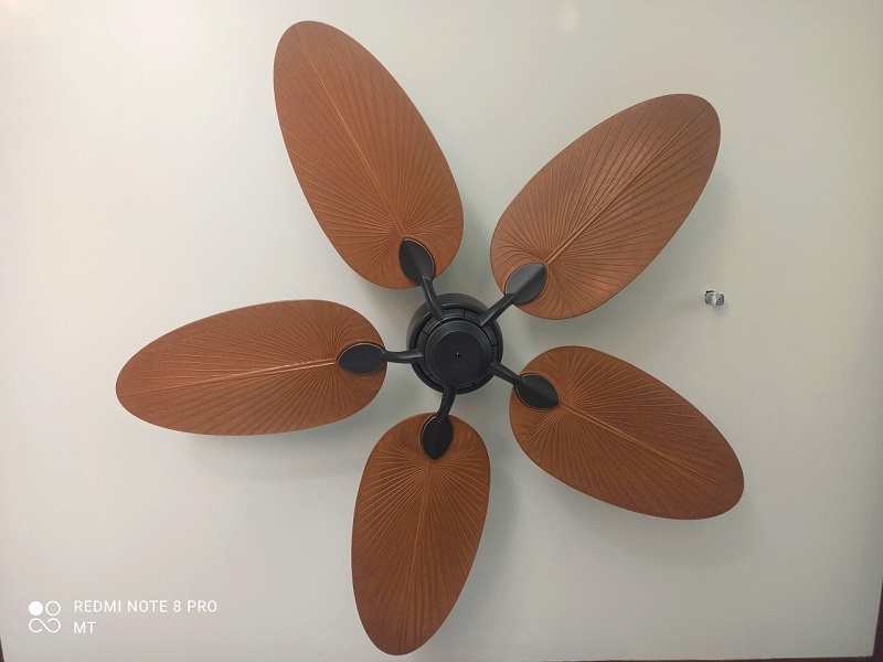 casa-141022-1 quạt casa