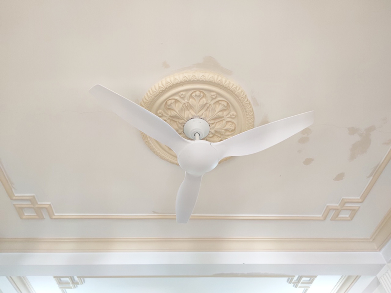 quat tran 3 canh mau trang hura quat tran 3 canh mau trang hura