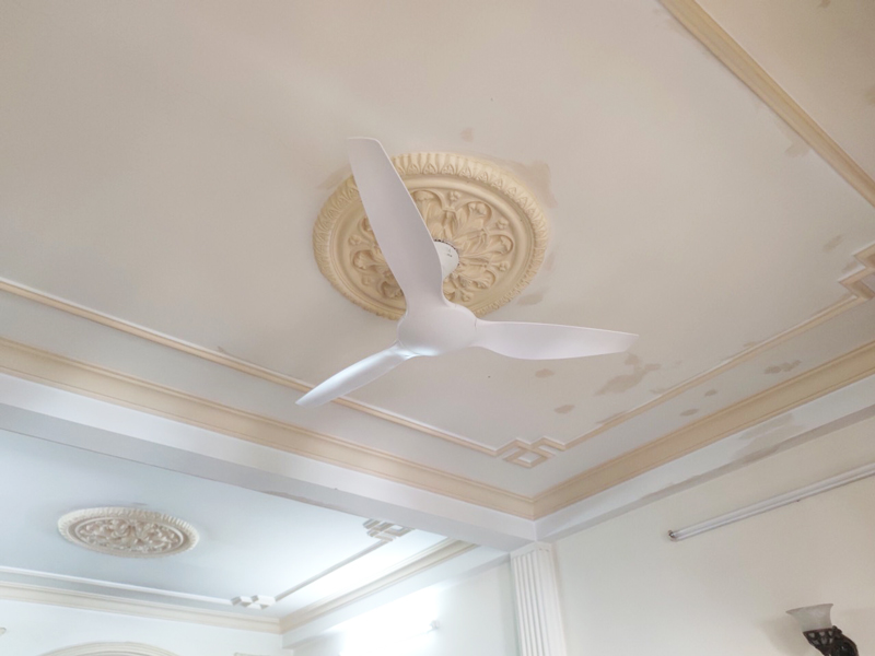 quat tran 3 canh mau trang hura1 quat tran 3 canh mau trang hura1