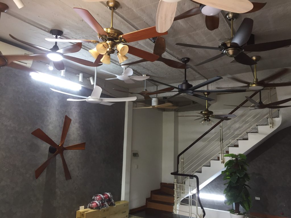 showroom-quat-tran-trang-tri-mrvu-tai-dong-da-ha-noi