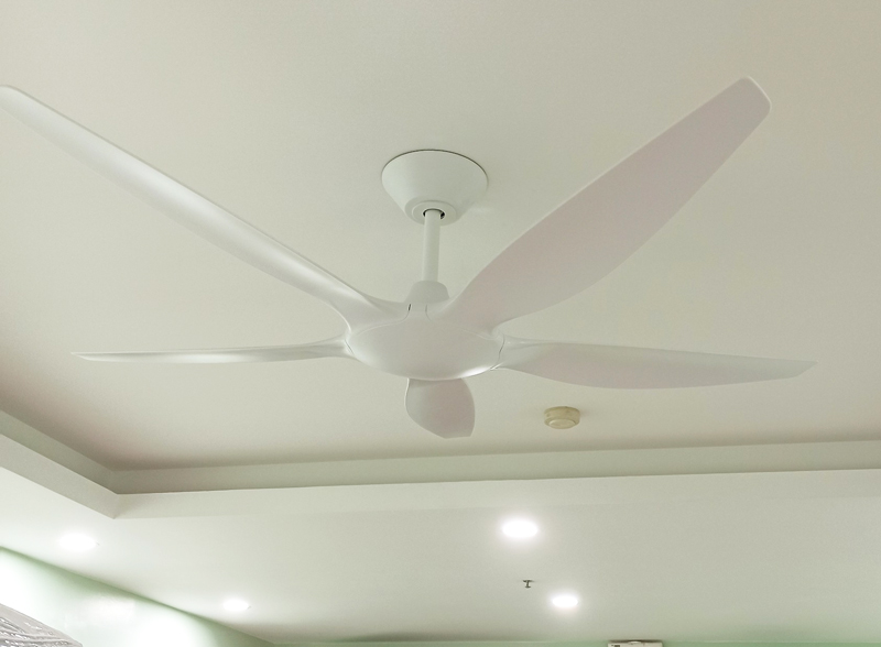 quat tran 5 canh mau trang quat tran 5 canh mau trang