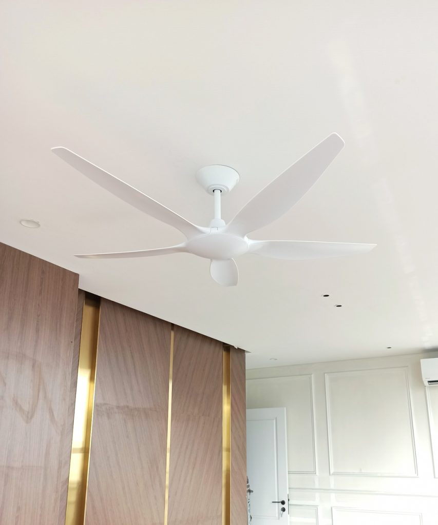 quat tran 5 canh thin trang quat tran 5 canh thin trang