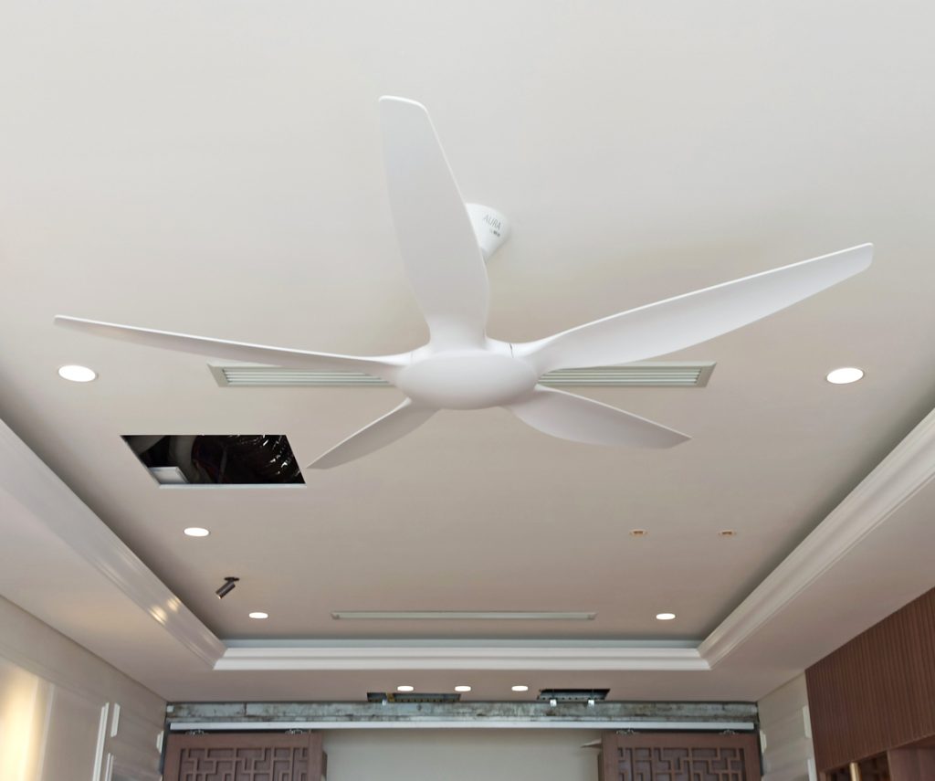 quat tran 5 canh thin trang dep quat tran 5 canh thin trang dep