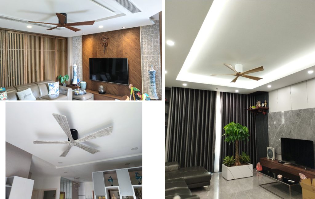 quat tran co ngan candy