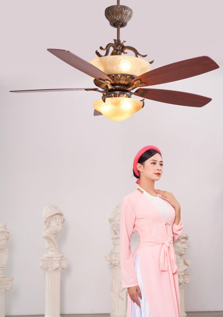 quat tran den dep villa quat tran den dep villa