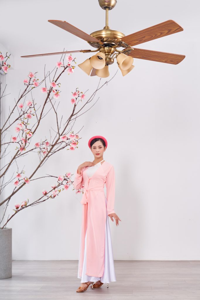 quat tran lotus 5den dep quat tran lotus 5den dep