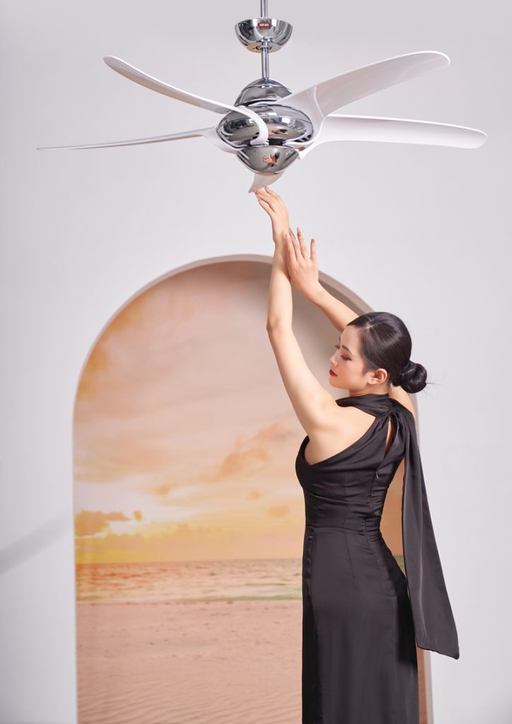 quat tran mat uragano quat tran mat uragano