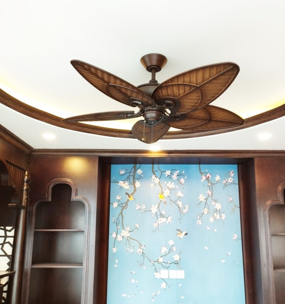 quat tran canh la nhiet doi quat tran canh la nhiet doi