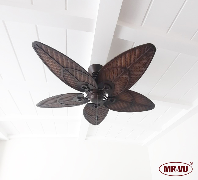 quat tran canh la tropika quat tran canh la tropika