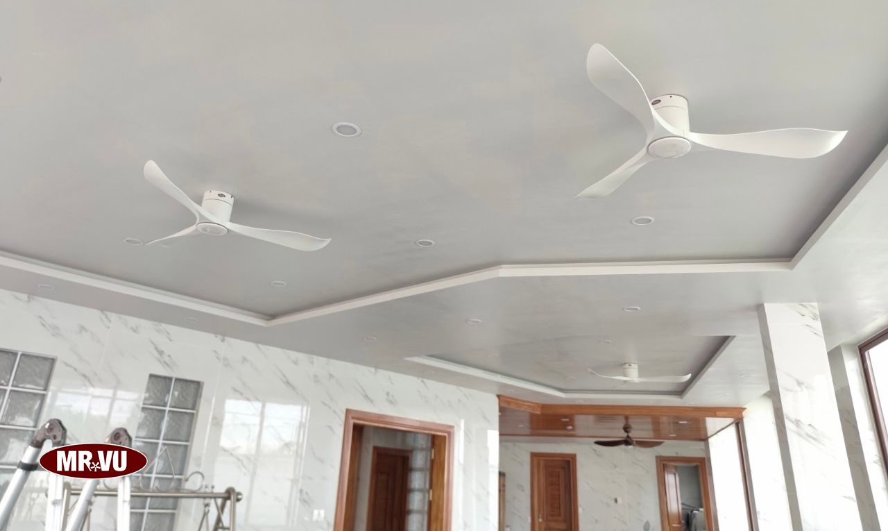 quat-tran-mrvu-lap-dat-tai-hoc-mon-hcm quat-tran-mrvu-lap-dat-tai-hoc-mon-hcm