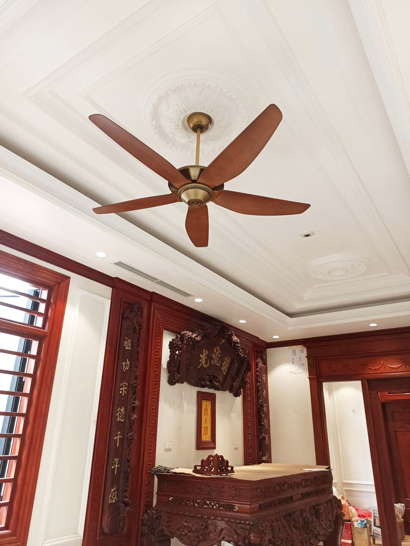 quat-tran-5-canh-strong-go quat-tran-5-canh-strong-go