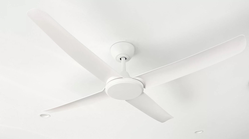 quat tran 4 canh mau trang