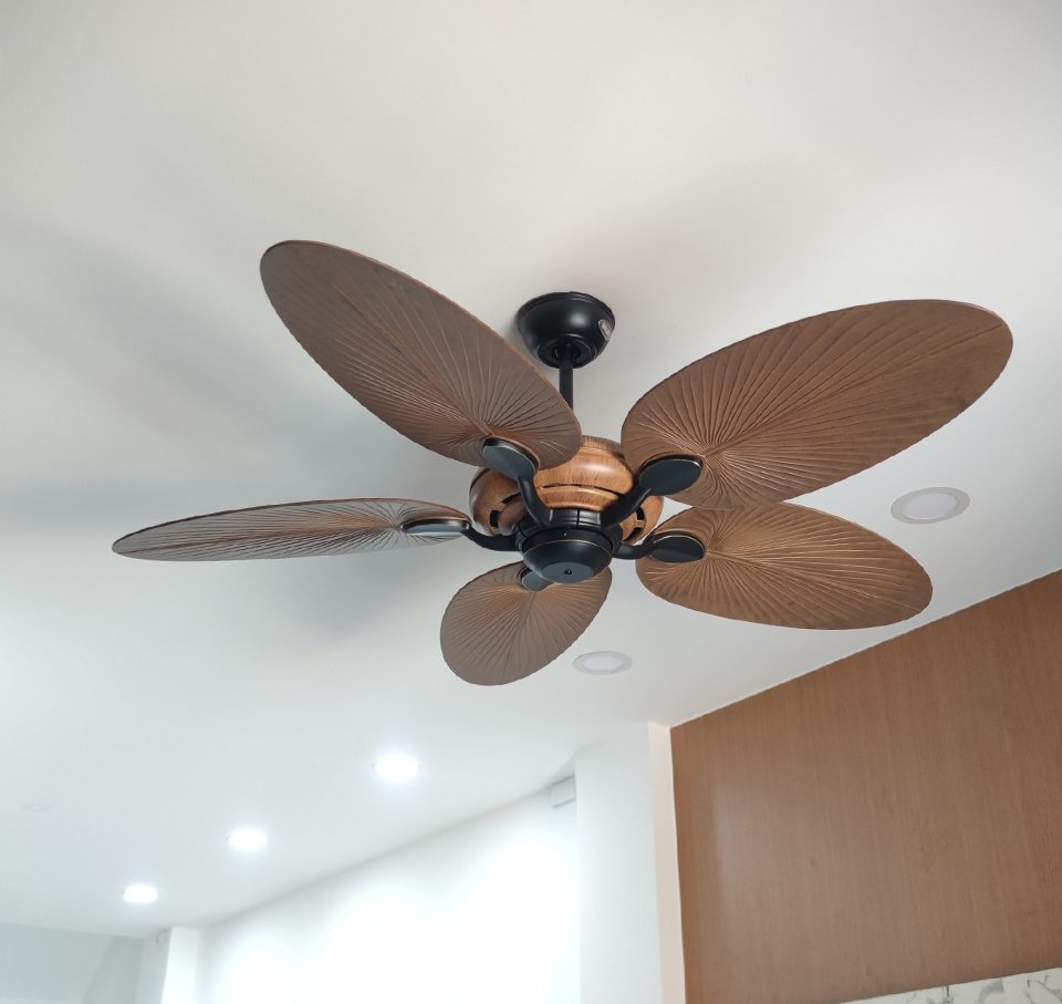 quat tran canh la casa 2023 quat tran canh la casa 2023