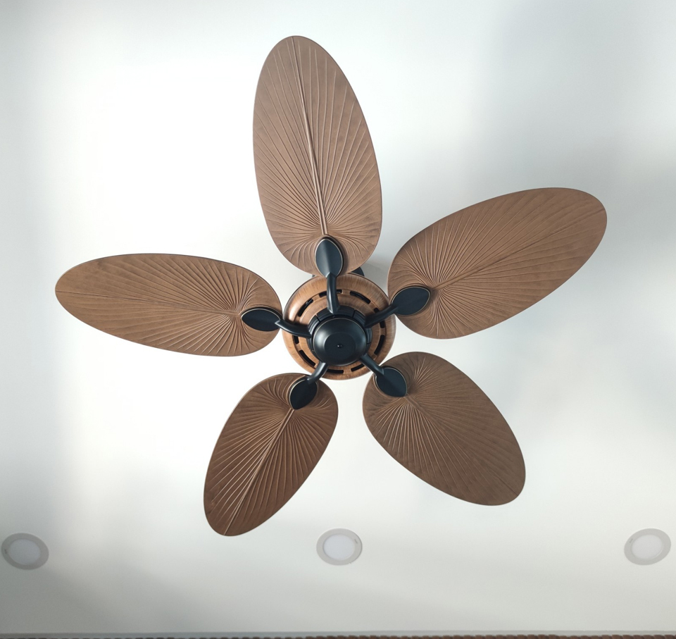 quat tran canh la casa moi 2023 quat tran canh la casa moi 2023