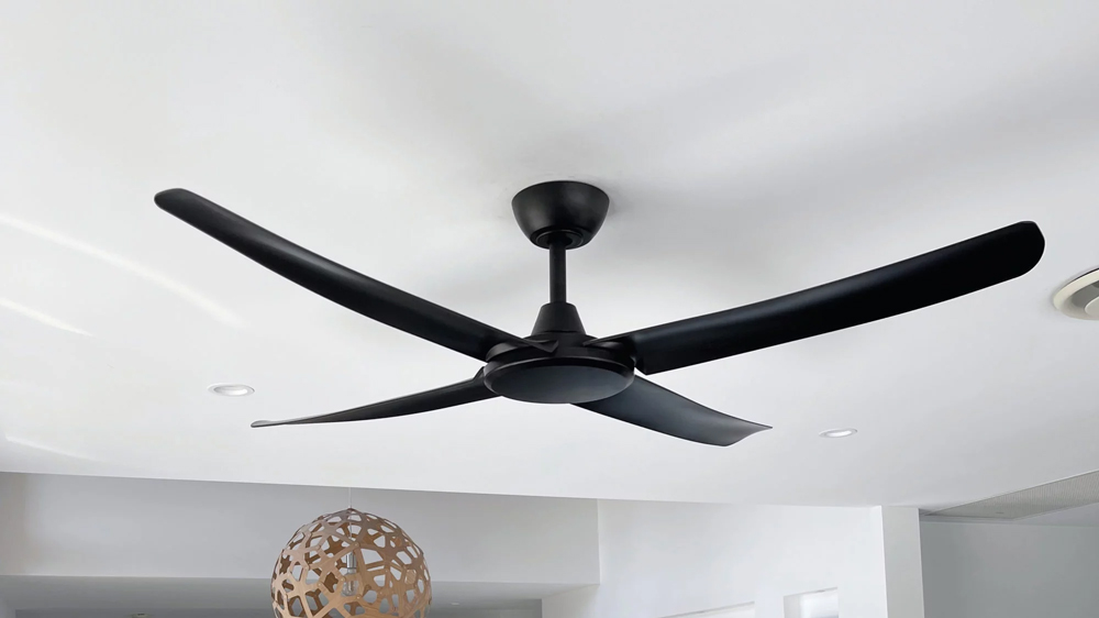 quat tran 4 canh mau den