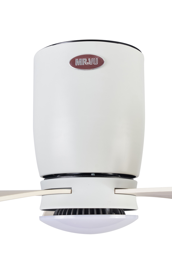 Động cơ DC êm ái