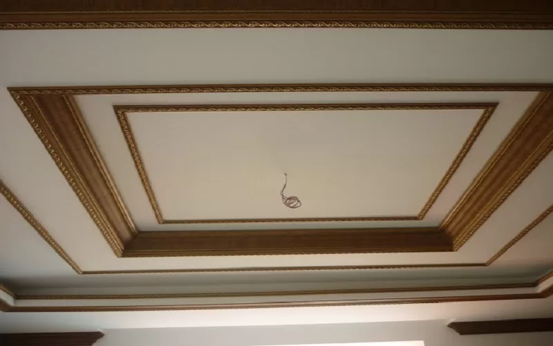 Nhua-la-chat-lieu-mau-phao-chi-tran-nha-don-gian-duoc-ua-chuong