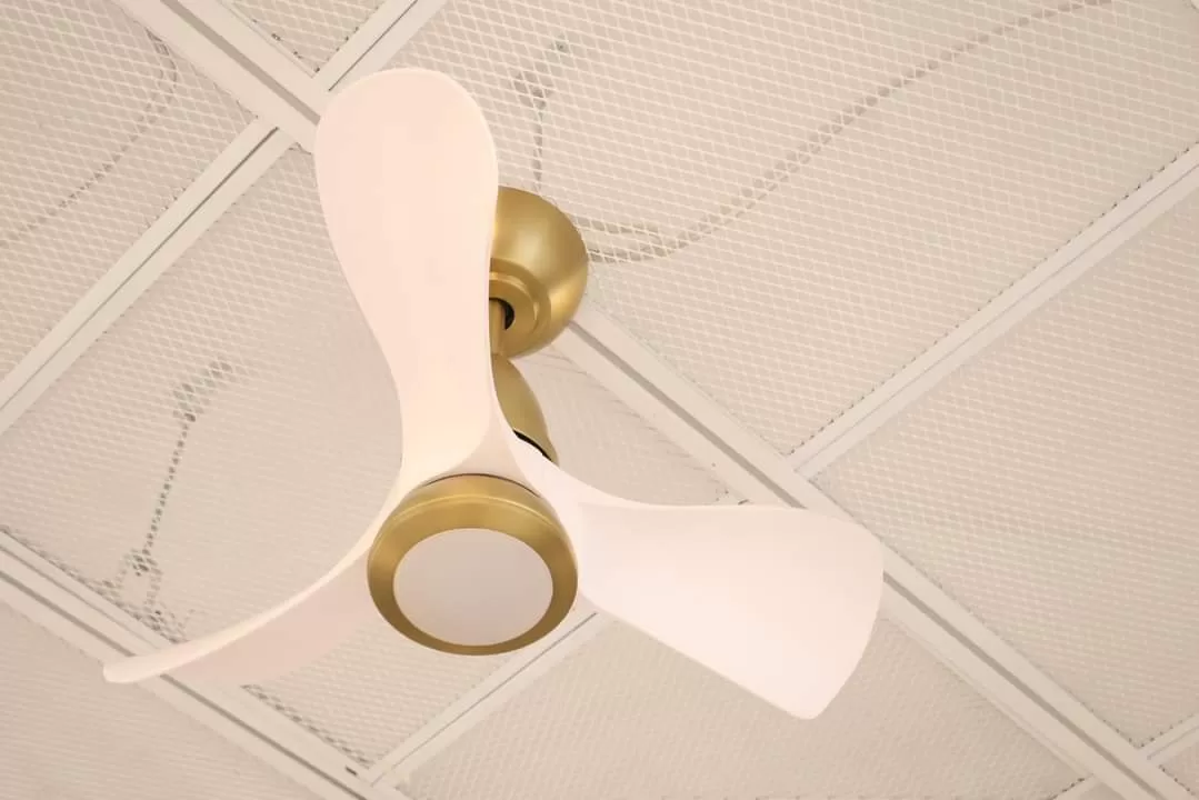 Quạt trần nhỏ đẹp màu trắng MINI