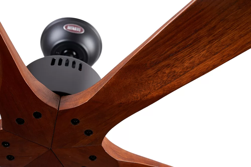 quat-tran-5-canh-go-solid-5B3