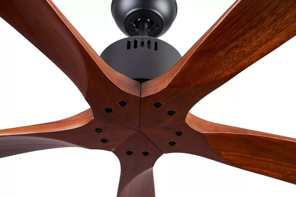 quat-tran-5-canh-go-solid-5B4