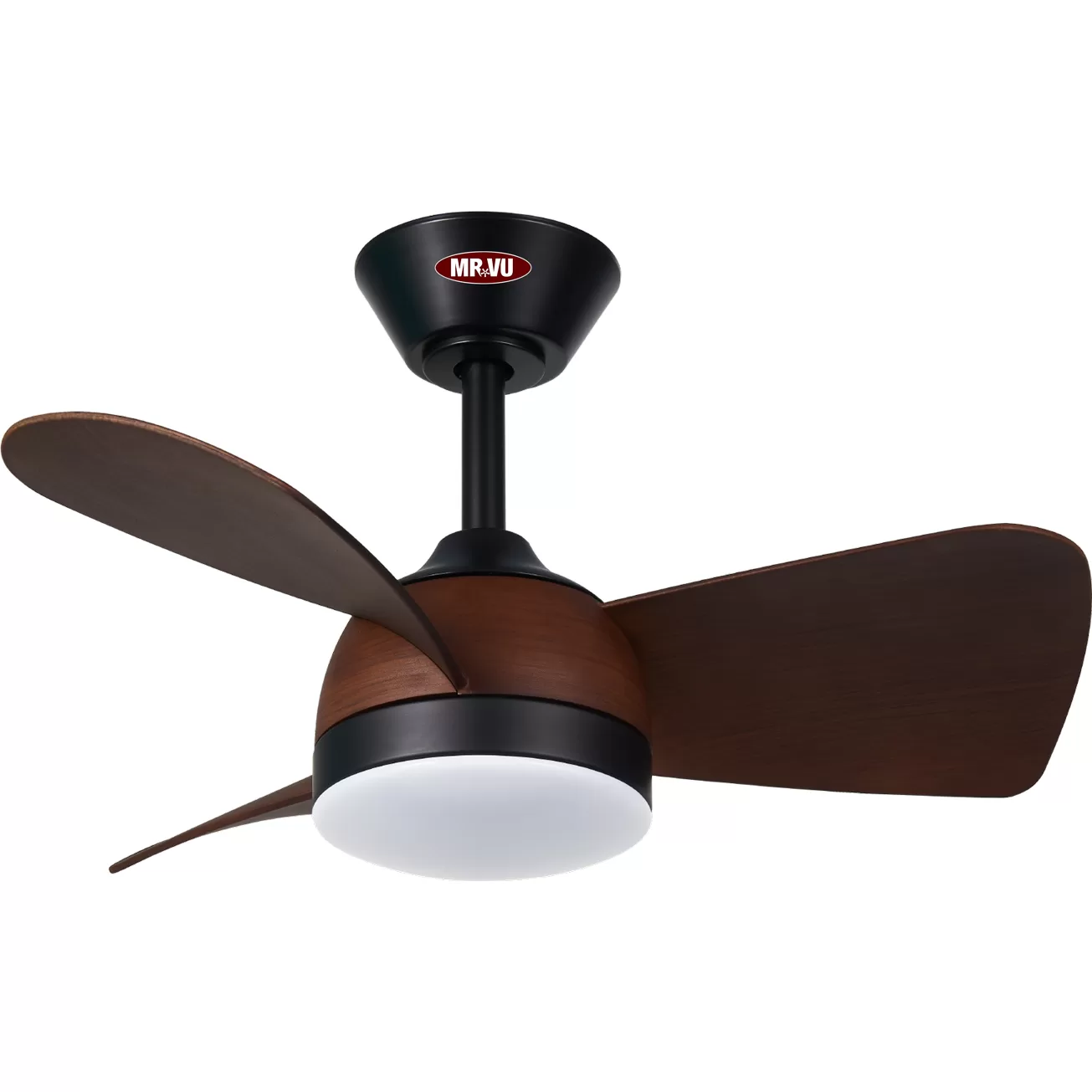 quat-tran-Cute quat-tran-Cute